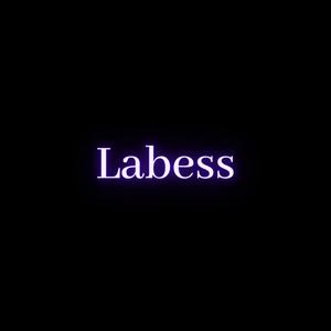 Labess(feat. El V le vrai & Mani Lobo Beats) (Explicit)