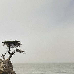 l'eupe - A Lone Pine