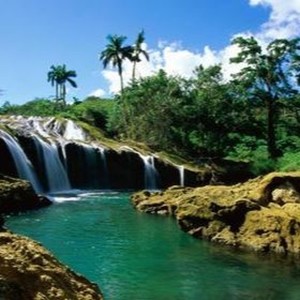 Tropical Landscapes (Original Mix)