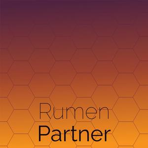 Rumen Partner