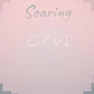 Soaring Eros