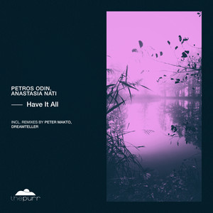 Have It All (Dreamteller Remix)