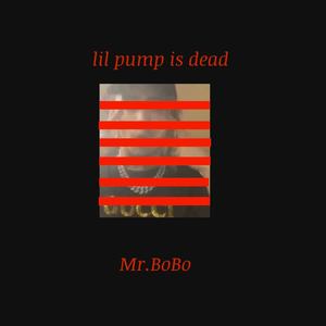 跟风中说点现实的话（lilpump事件diss）