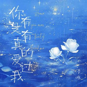 你有没有真的爱过我 (男版)