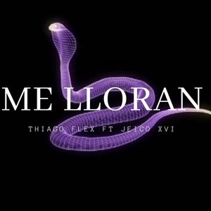 ME LLORAN (feat. Thiago Flex) (Explicit)