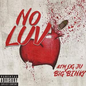 No Luv (feat. Big Binky) [Explicit]