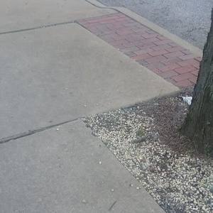 Watch Out, the Haters Dabbed Back!(Not Clickbait) (Explicit)