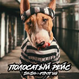 Полосатый рейс (Explicit)