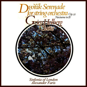 Serenade For String Orchestre In E major, Op.22: I. Moderato