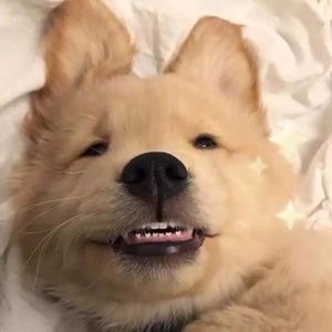 后来 (翻自 刘若英)