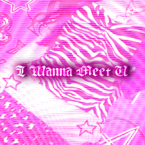 I Wanna Meet U (Explicit)