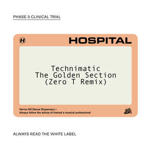 The Golden Section (Zero T Remix)
