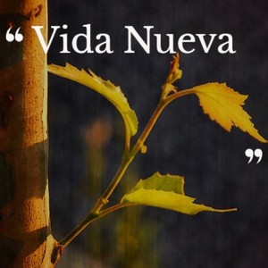 Vida Nueva