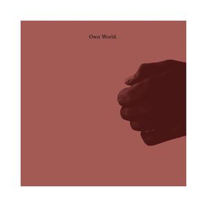 own world (Explicit)