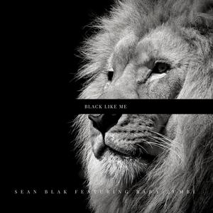 BLM (feat. Zumbi) [Explicit]