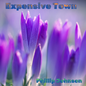 Expensive Town