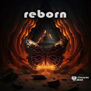 Reborn (Midnight Remix)