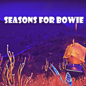 Seasons For Bowie