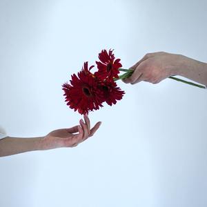 You Want Somebody to Come Bring You Flowers (Sped)