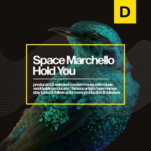Hold You (Original Mix)