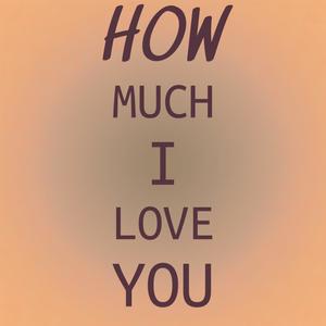 How Much I Love You