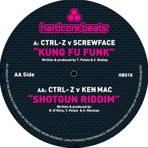 Kung Fu Funk (Original Mix)