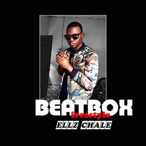 BEAT BOX(Freestyle) (Explicit)