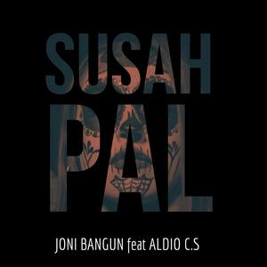 Susah Pal (feat. Aldio C.S)