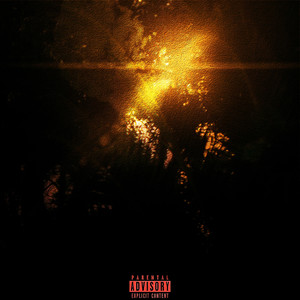 Tick (Explicit)