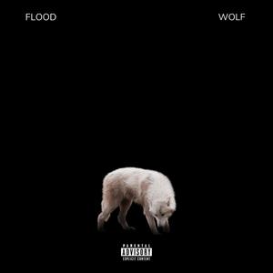 Wolf (Explicit)