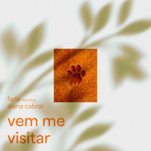 vem me visitar