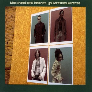 You Are The Universe