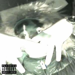 Taub und Dumm (Explicit)