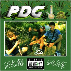 PDG (Explicit)