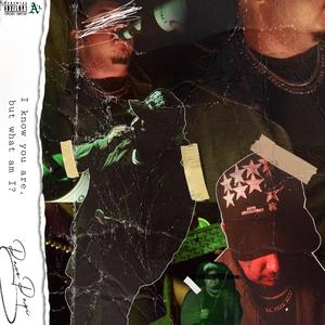 LARRY FLOW (Explicit)