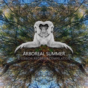 Awake (Original Mix)
