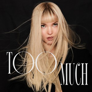 Too Much封面