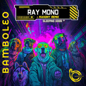 Space Junk (Mahony Remix)
