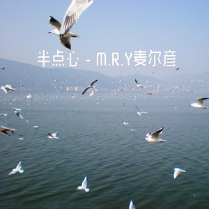 半点心