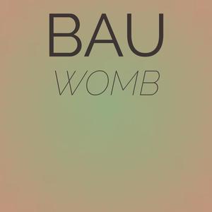 Bau Womb