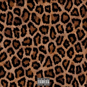 LOOORD PIRATES - Amazon