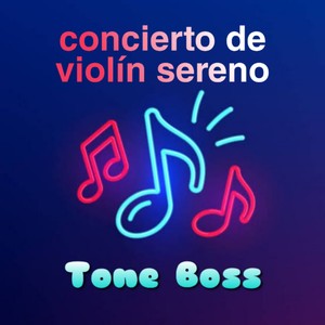 concierto de violín sereno