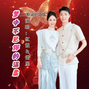 梦中不见你的温柔