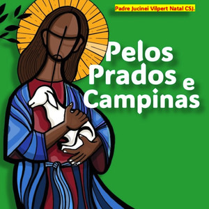 Pelos Prados e Campinas (Padre Jucinei Vilpert Natal CSJ Remix)
