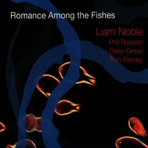 Liam Noble - A Broken Dream