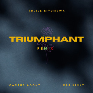 Triumphant (Remix)