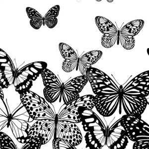 butterflies