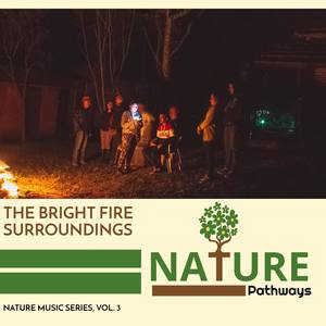 The Bright Fire Surroundings - Nature Music Series, Vol. 3