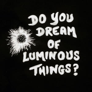 Do You Dream Of Luminous Things? (Album Sampler)