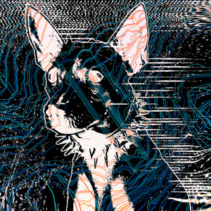 PERRO RAVEROSO (Hector Chaparro Remix)